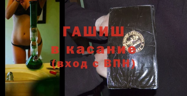 гидра Богородицк