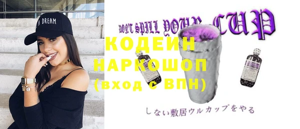 гидра Богородицк