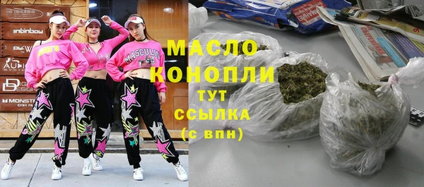 гидра Богородицк