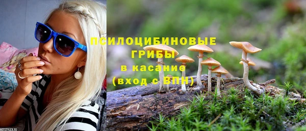 гидра Богородицк