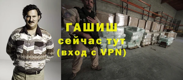 гидра Богородицк