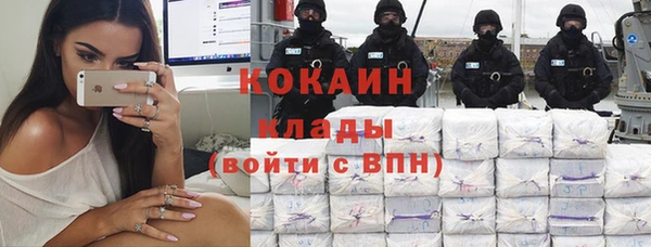 гидра Богородицк