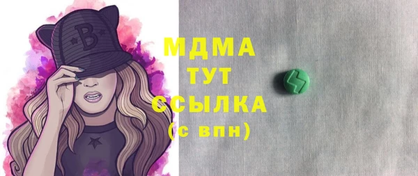 гидра Богородицк