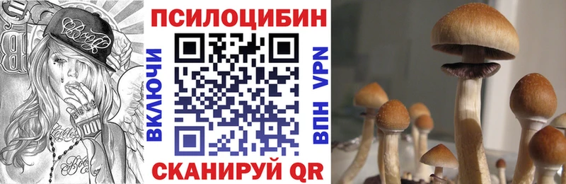 Псилоцибиновые грибы мухоморы  Клинцы 